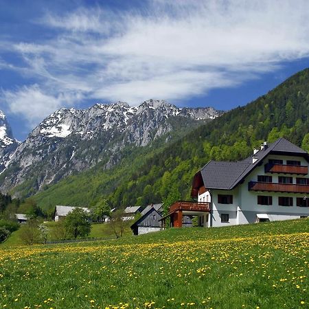 Vila Govc-Vršnik Solčava Exteriér fotografie