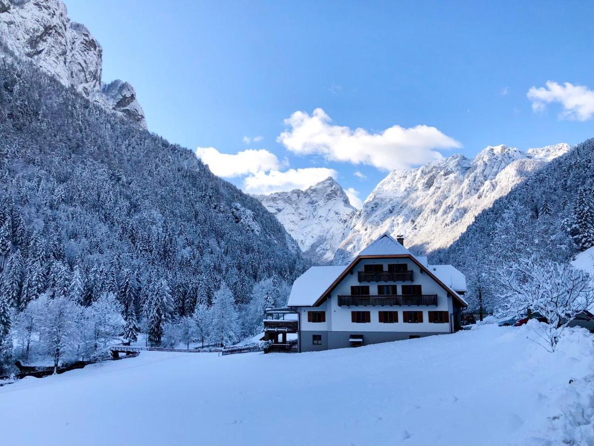 Vila Govc-Vršnik Solčava Exteriér fotografie