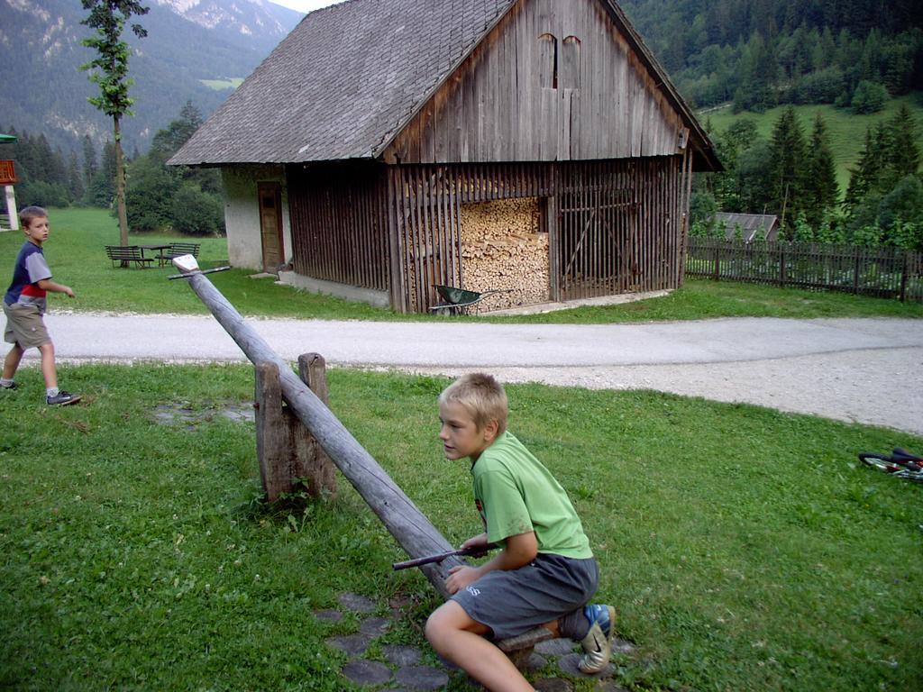 Vila Govc-Vršnik Solčava Exteriér fotografie